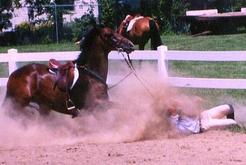 [Image: horse-riding-crash.jpg]